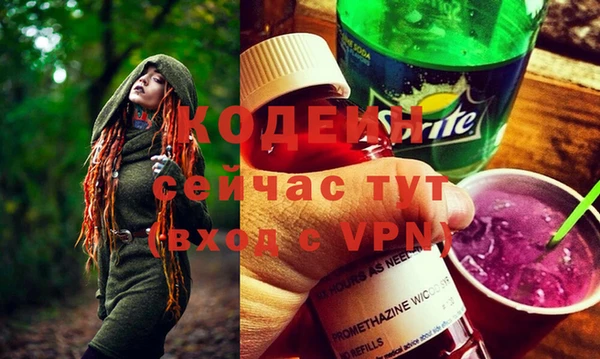 гашик Заводоуковск