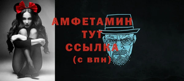 гашик Заводоуковск