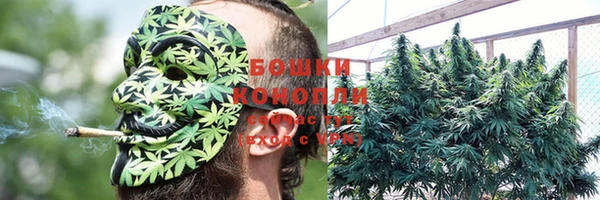 мяу мяу мука Чекалин